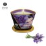 Lavanda - en stock, envío hoy
