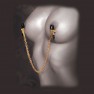 Pinzas para Pezones Cadena Fetish Fantasy Gold - photo 2